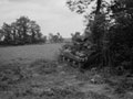 '"A" Squadron Leader's tank in the woods at Douvres.', Normandy, 1944