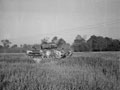 'Churchill AVRE tank, some of which gave us support in the attack on the Radar Station.', Normandy, 1944
