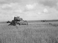 '"A" Squadron tanks, in open leaguer at Villons-Les-Buissons', 3rd County of London Yeomanry (Sharpshooters), Normandy, 1944