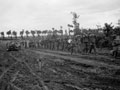 'German prisoners of war being marched back during the attack on Cheux', 27 June 1944