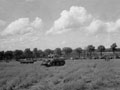 '"B" Squadron tanks lining the Ridge North of Cheux',  3rd County of London Yeomanry (Sharpshooters), 27 June 1944