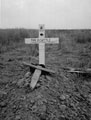 Grave of Trooper Donald Cattle, 3rd County of London Yeomanry (Sharpshooters), Normandy, 1944