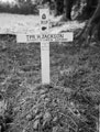 Grave of Trooper Harry Jackson, 3rd County of London Yeomanry (Sharpshooters), Normandy, 1944