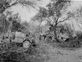 Sherman tank and scout car of 3rd County of London Yeomanry (Sharpshooters) on the north side of the River Simeto, Sicily, 1943