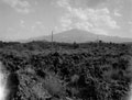 Mount Etna, Sicily, 1943