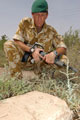 A regimental sergeant major of the Intelligence Corps at Basra War Cemetery, Iraq, 2003