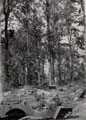 The aftermath of battle, 1945
