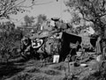 Encampment of British Sherman tanks in Italy, 1943