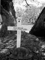Grave of Trooper E Keegan, 3rd County of London Yeomanry (Sharpshooters), killed in action, Serracapriola, Italy, 2 October 1943