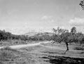 3rd County of London Yeomanry on the approach to Serracapriola, Italy, 1943