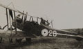 Royal Aircraft Factory RE8, 1917 (c)