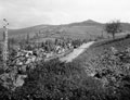 'The Rgt. carrying infantry halted on road after heavy rain short of crossing over the R. Ofanto', Italy, 1943