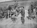'Waiting to cross the Ofanto', 3rd County of London Yeomanry (Sharpshooters), Italy, 1943