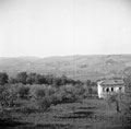 View from an observation post towards the 'Sangro winter line', Torino di Sangro, 1943