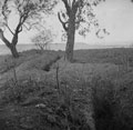 'English entrenchments to the O.P.s on edge of the Sangro Valley', Italy, 1943