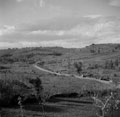 'Northern crossing of the Ofanto', Italy, 1943