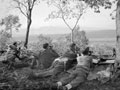 Officers and sergeants of 'A' Squadron, 3rd/4th County of London Yeomanry (Sharpshooters), observing enamy positions, Li Colli Ridge, Italy, 1943