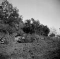 Sherman tanks leaguered under the shelter of an escarpment, Sangro Valley, Italy, 1943