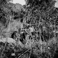 Sherman tanks leaguered under the shelter of an escarpment, Sangro Valley, Italy, 1943