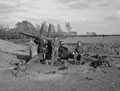Medium guns, North West Europe, 1944 (c)