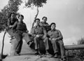 Personnel of B Squadron, 3rd/4th County of London Yeomanry (Sharpshooters) pose on the turret of a Sherman tank, 1944 (c)
