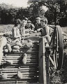 Women's Land Army sorting potatoes, 1944 (c)