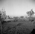 A troop of Sherman tanks of the 3rd County of London Yeomanry (Sharpshooters), bogged down during the attack on Santa Maria, Italy, 1943