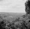 'Overlooking the Moro', Abruzzo, Italy, 1943