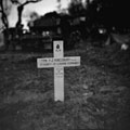 The grave of Trooper F J Kingsbury, 3rd County of London Yeomanry (Sharpshooters), Italy, 1943