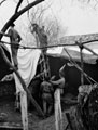 'Erecting the shelter for the Xmas dinner', 3rd County of London Yeomanry (Sharpshooters), Italy, 1943