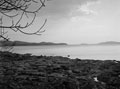 'Mouth of he River Dee', Scotland, 1944