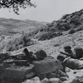 5th Battalion, Northamptonshire Regiment, in a position outside Centuripe, Sicily, August 1943
