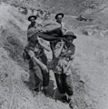 Stretcher bearers carrying a wounded soldier in the area of Centuripe, 1943
