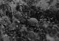 Paratroops in action with 3 in mortars, Arnhem, 1944