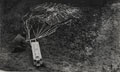 Supplies dropped by parachute being collected, 20 September 1944