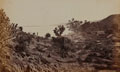 Landscape, Burma, 1888 (c)