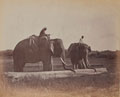 Burmese elephants, Burma, 1888 (c)