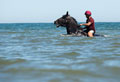 Household Cavalry exercising on Holkham Beach, Norfolk, 2015