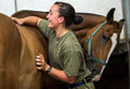 A gunner of King's Troop Royal Horse Artillery grooming 'Broome', Knightsbridge Barracks, London, 2015