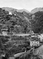'Terraced orange & lemon groves', Italy, 1944