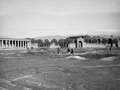 'School of Gladiators', Pompeii, January 1944