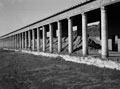 'Beside the edge of the Gladiators School', Pompeii, January 1944