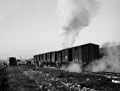 'Baggage being loaded for Naples', 3rd County of London Yeomanry (Sharpshooters), Italy, January, 1944