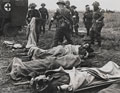 Wounded being evacuated during the advance East of Tilly, 1944