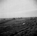 3rd/4th County of London Yeomanry (Sharpshooters) tanks in leaguer, south of Uedem after the battle, Febriuary, 1945