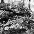 Destroyed cattle stalls and burnt cattle, on a farm, Uedem, Germany, 1945