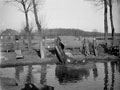 Captain Phillip Millington, Royal Horse Artillery, testing a Weasel amphibious vehicle in a duck pond near 'A' Squadron, 3rd/4th County of London Yeomanry (Sharpshooters)'s leaguer, Uedem, Germany, 1945