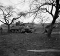 3rd/4th County of London Yeomanry (Sharpshooters) Sherman tanks in leaguer, at Uedem, Febriuary, 1945