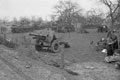 'A' Squadron, 3rd/4th County of London Yeomanry (Sharpshooters) tanks near Hamminkeln, Germany, 1945