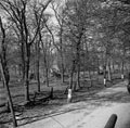 Abandoned German equipment at Unterstedt, Lower Saxony, Germany, 1945